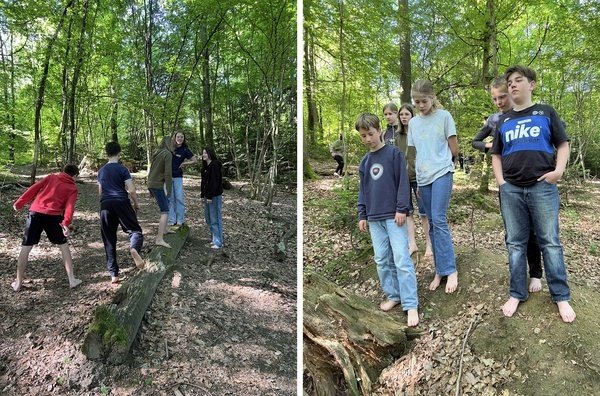 Mit allen Sinnen im Wald - ein Ausflug der Klasse 7a Mit allen Sinnen im Wald - ein Ausflug der Klasse 7a