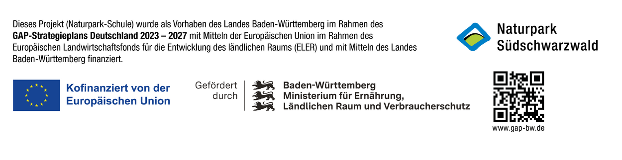 Frderung NP