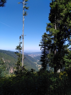 Schwarzwaldwoche