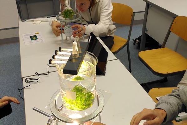 Biologie in der Kursstufe