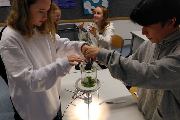 Biologie in der Kursstufe