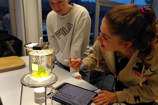 Biologie in der Kursstufe