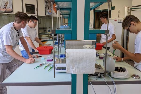 Das Leistungsfach Biologie im Novartis-Schullabor (27. Juni 2022)