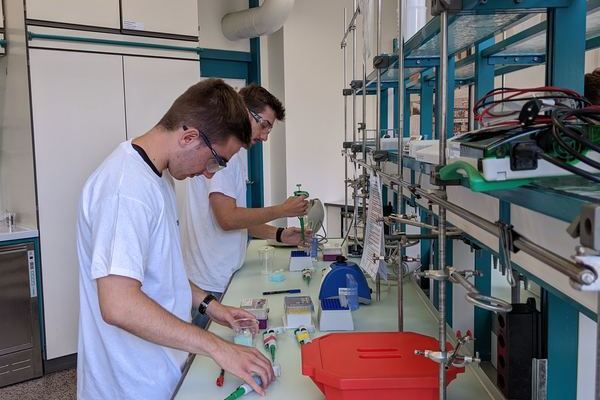 Das Leistungsfach Biologie im Novartis-Schullabor (27. Juni 2022)