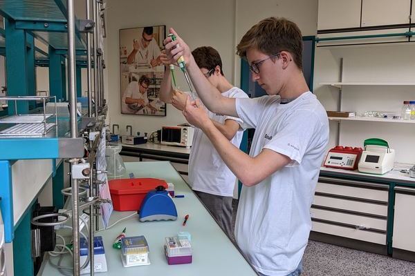 Das Leistungsfach Biologie im Novartis-Schullabor (27. Juni 2022)