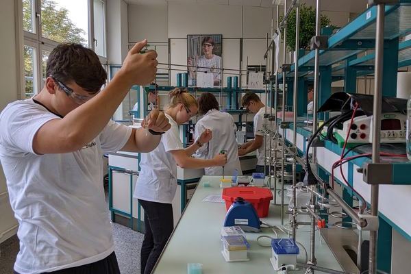 Das Leistungsfach Biologie im Novartis-Schullabor (27. Juni 2022)