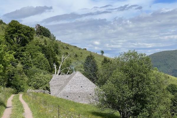 Schauinsland-Exkursion: Schniederlihof