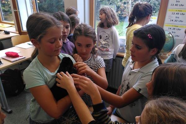 Tierischer Besuch im BNT-Unterricht der Klasse 5a