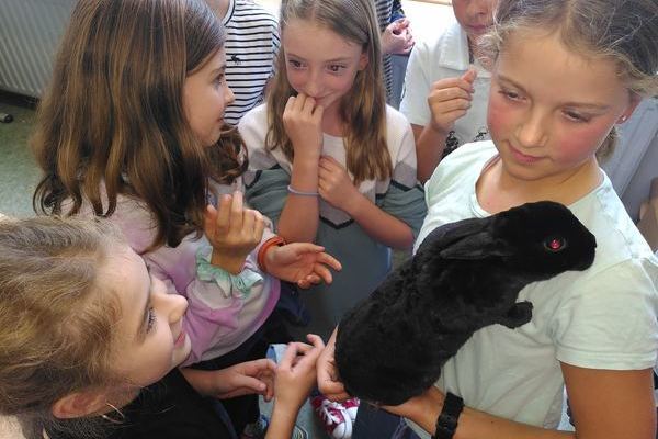 Tierischer Besuch im BNT-Unterricht der Klasse 5a