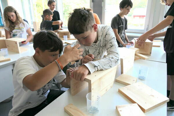 Weltersch�pfungstag 2024 - Nistkastenbau